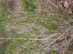 DSCN0617.JPG