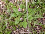DSCN0630.JPG