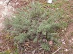 DSCN0632.JPG