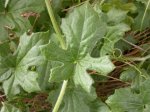 DSCN0638.JPG