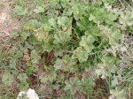 DSCN0641.JPG