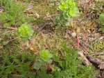 DSCN0673.JPG