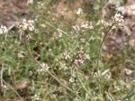 DSCN0674.JPG