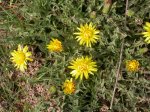 DSCN0670.JPG