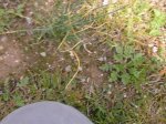 DSCN0671.JPG
