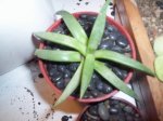 Imagen 067.jpg
