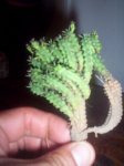 Imagen 088.jpg