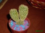 IMG_0118.JPG