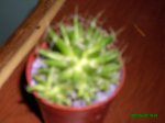 IMG_0121.JPG