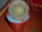 IMG_0119.JPG