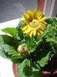 DSC08193.JPG