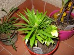 DSC00140.jpg