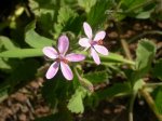 DSCN0770.JPG