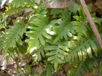 DSCN0835.JPG