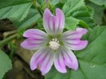 DSCN9976.jpg