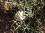 DSCN0750.JPG