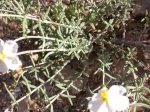 DSCN0751.JPG