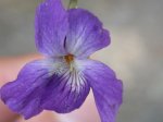 DSCN0840.JPG