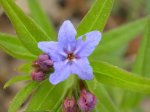 DSCN0830.JPG