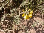 DSCN0878.JPG