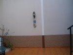 P1010009.jpg