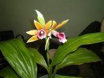 picture004oo4.jpg