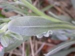 DSCN0859.JPG