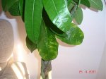 Copia de DSC00946.jpg