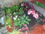 PICTURE 007.1.JPG