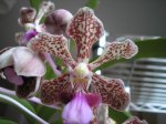 Image00003.jpg