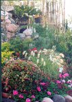 paisaje_florido_1.jpg