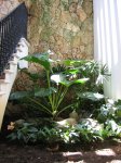 jardinera.jpg