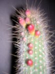 DSCN7840.JPG