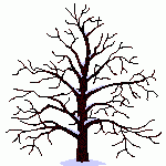 arbol.estaciones.gif