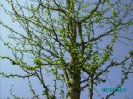 22Abril07 009.jpg