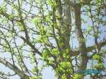 22Abril07 010.jpg