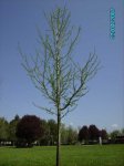 22Abril07 011.jpg