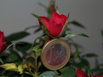 P4230478 reducida 02.jpg