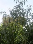 DSCN5865.jpg