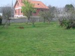 DSC03593.jpg