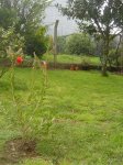 DSC03624.JPG