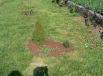 DSC03663.jpg