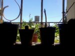 Foto-0385.jpg