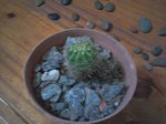 Foto-0378.jpg