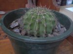 Foto-0374.jpg