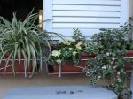 Abril 2007 010.jpg