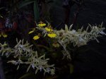 100_9736.jpg