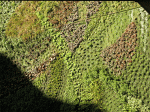 Jardin-Vertical-Dic07-(105).gif