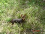 Picture 034.jpg
