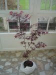 DSC03744.JPG